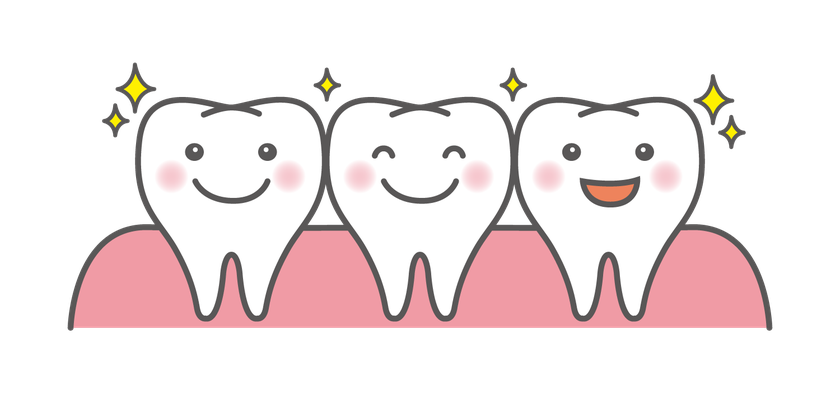 笑顔の歯のイラスト